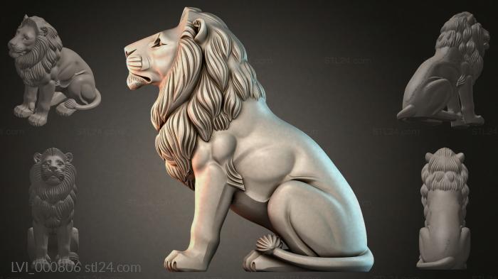 LVI_000806