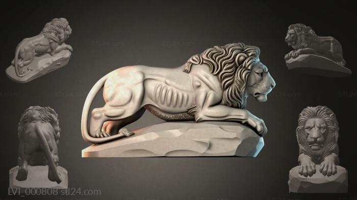 LVI_000808