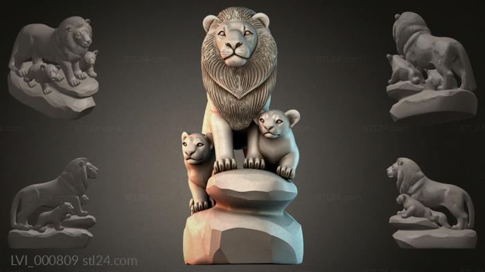 LVI_000809