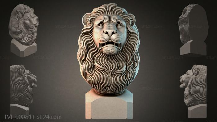LVI_000811