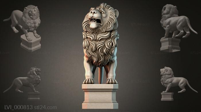 LVI_000813