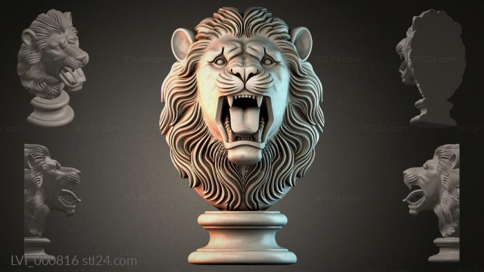 LVI_000816