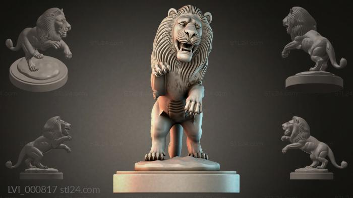 LVI_000817