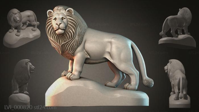 LVI_000820
