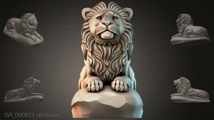 LVI_000821