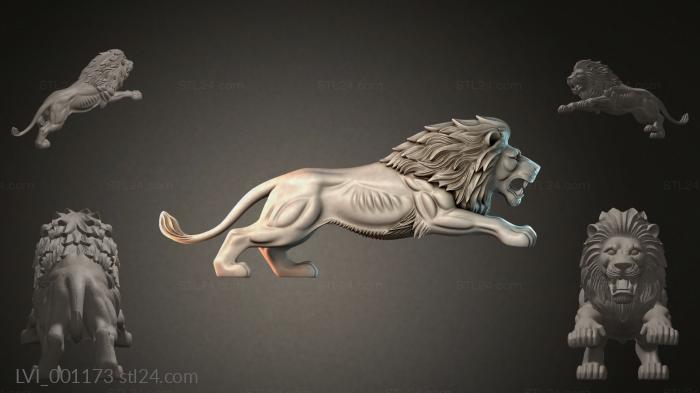 LVI_001173