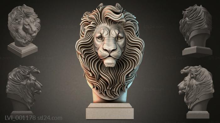 LVI_001178