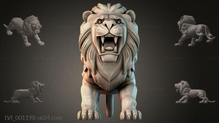 LVI_001198