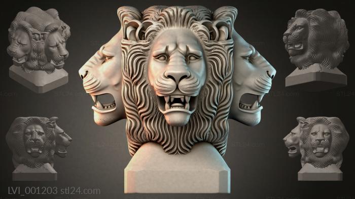LVI_001203