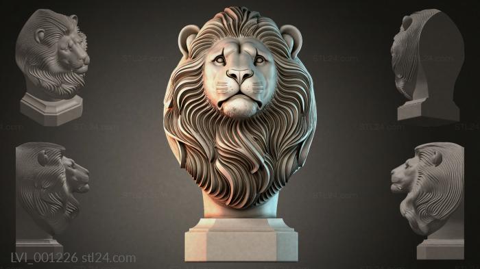 LVI_001226