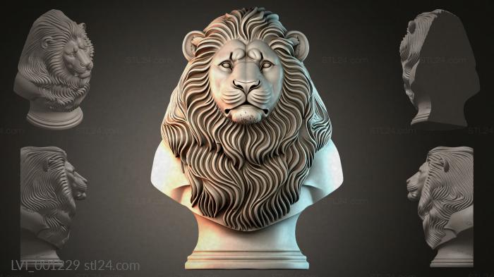 LVI_001229