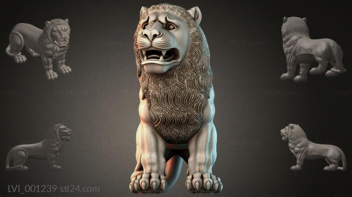 LVI_001239