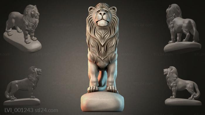 LVI_001243