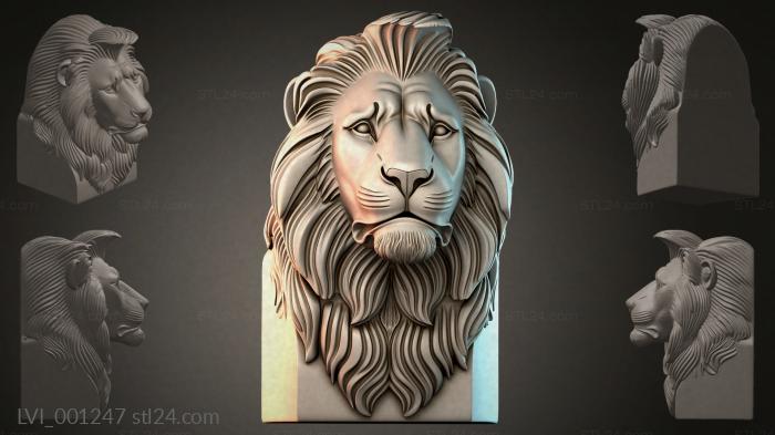 LVI_001247