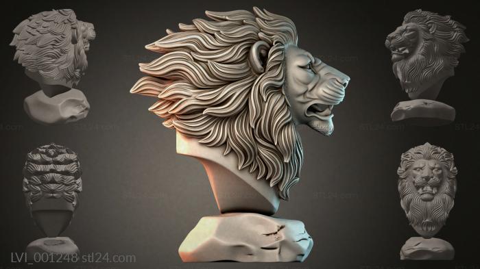LVI_001248