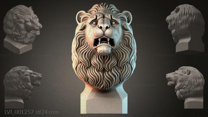 LVI_001257