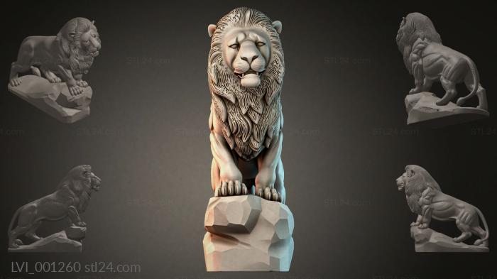 LVI_001260