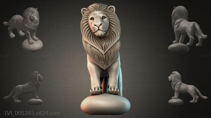 LVI_001265
