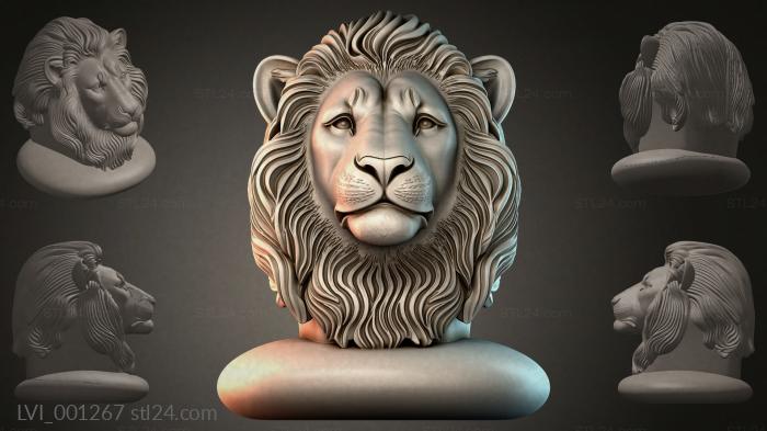 LVI_001267