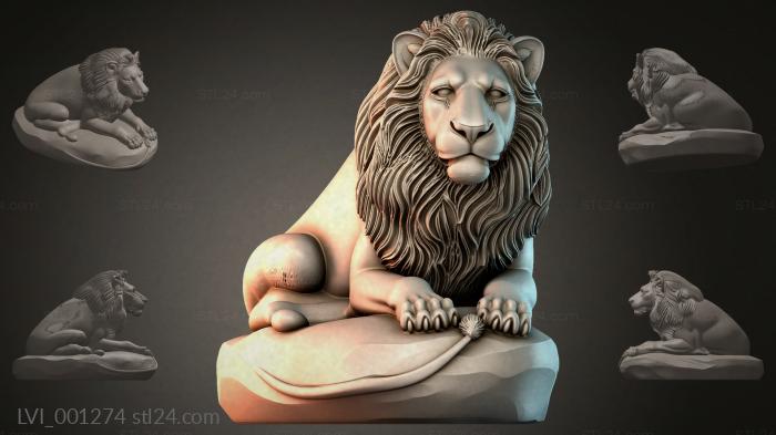 LVI_001274