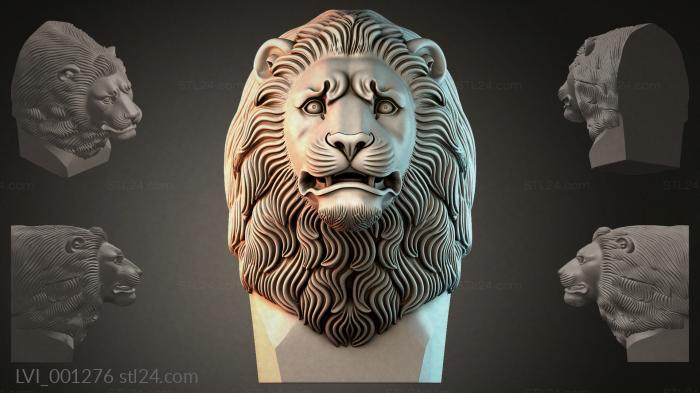 LVI_001276