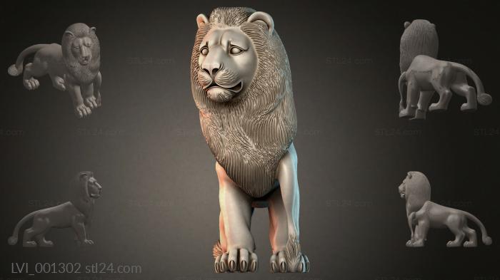 LVI_001302