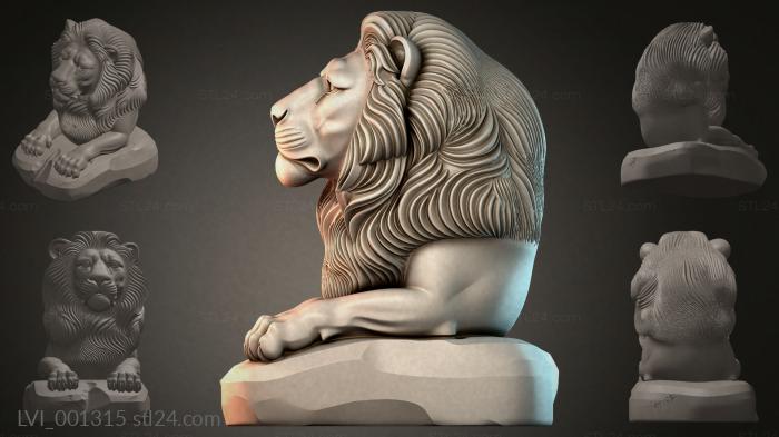LVI_001315