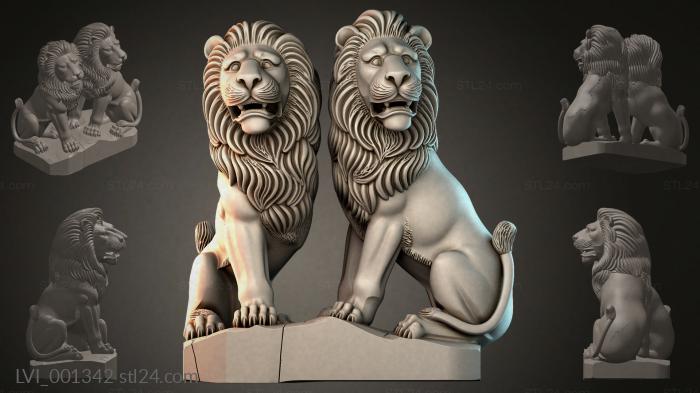 LVI_001342