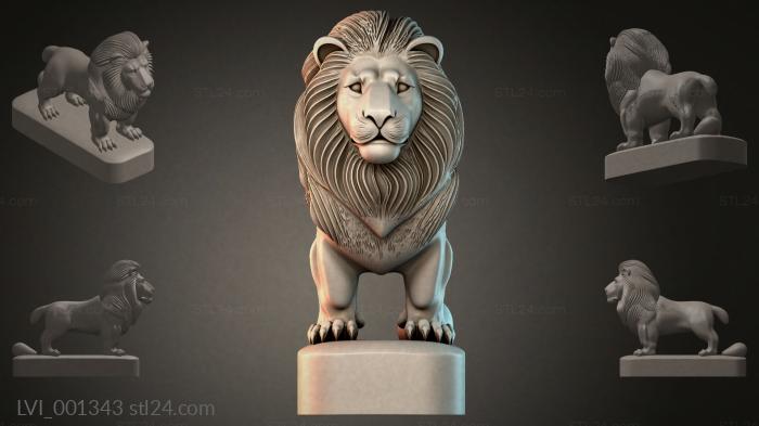 LVI_001343