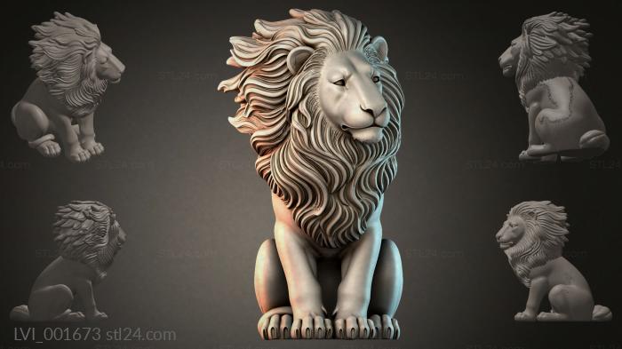 LVI_001673