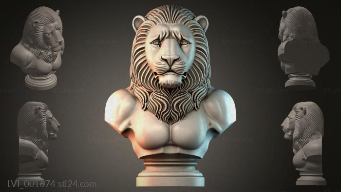 LVI_001674