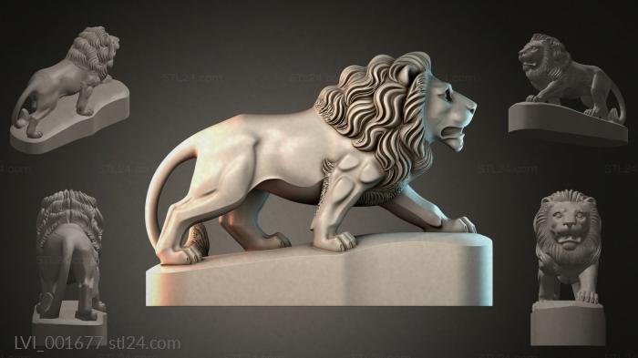 LVI_001677