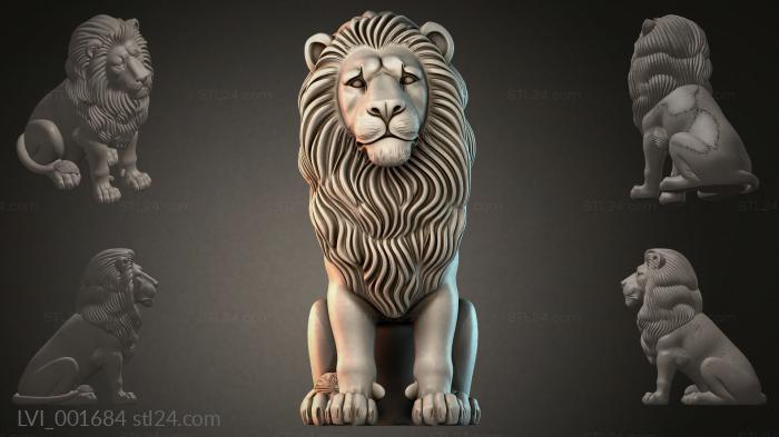 LVI_001684