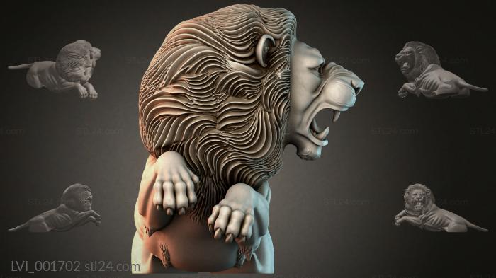 LVI_001702