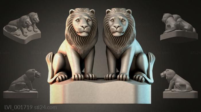 LVI_001719