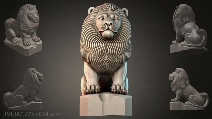 LVI_001725