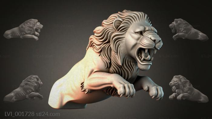 LVI_001728