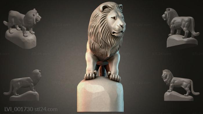 LVI_001730