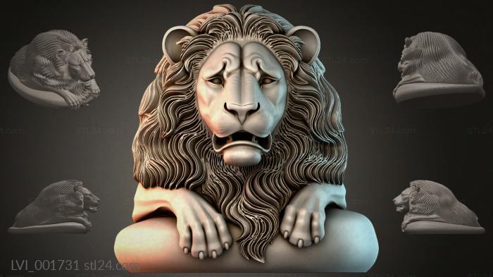 LVI_001731