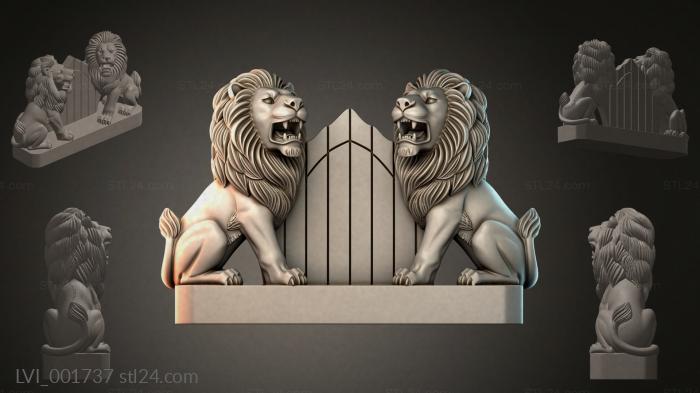 LVI_001737