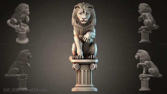 LVI_001747
