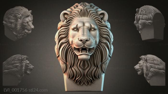 LVI_001756