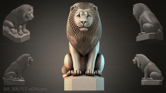 LVI_001757
