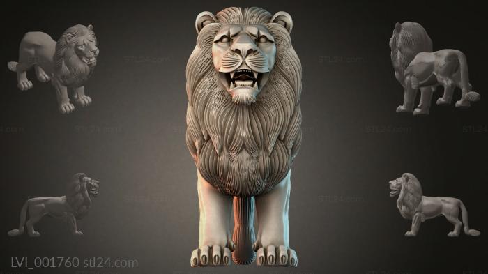 LVI_001760