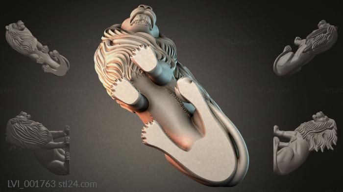 LVI_001763