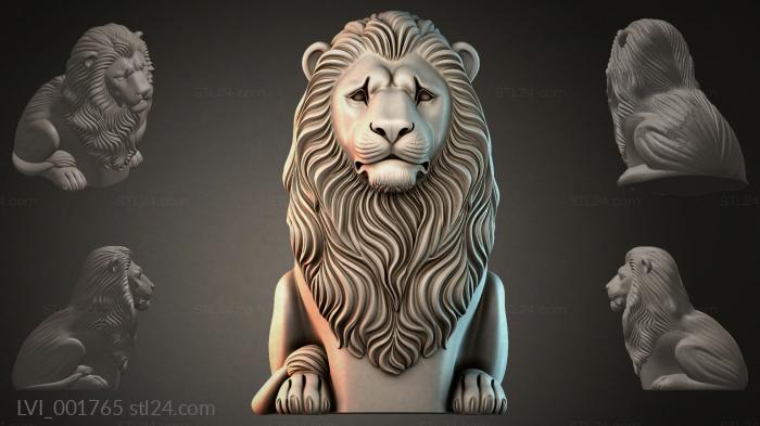 LVI_001765