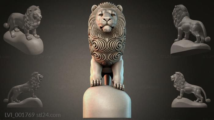 LVI_001769