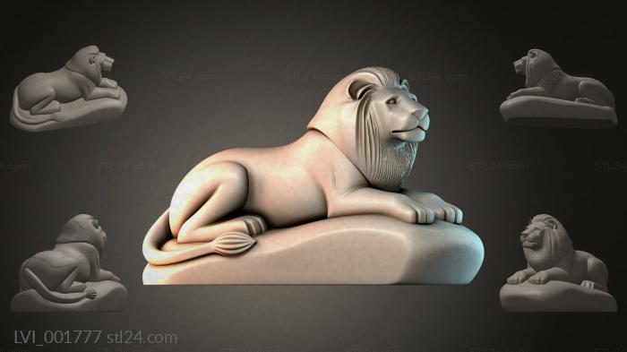 LVI_001777
