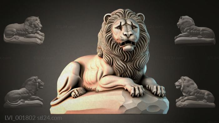 LVI_001802