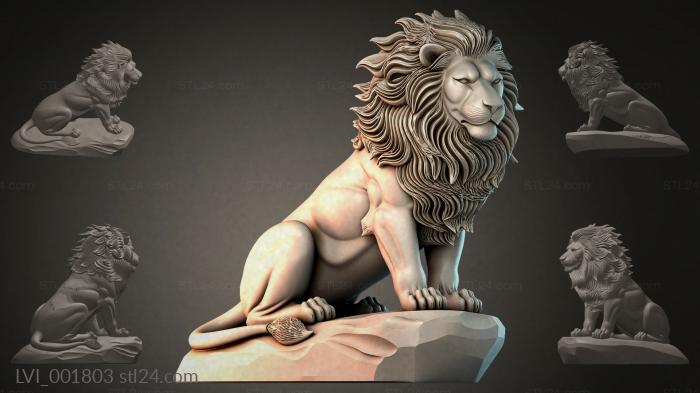 LVI_001803